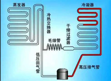 冰箱運作原理|解密冰箱運作原理